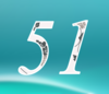 51 — изображение числа пятьдесят один (картинка 4)