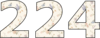 224 — изображение числа двести двадцать четыре (картинка 2)