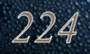 224 — изображение числа двести двадцать четыре (картинка 4)