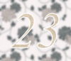 23 — изображение числа двадцать три (картинка 4)
