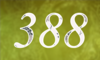 388 — изображение числа триста восемьдесят восемь (картинка 4)