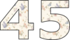 45 — изображение числа сорок пять (картинка 2)