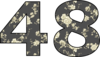48 — изображение числа сорок восемь (картинка 2)