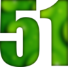 51 — изображение числа пятьдесят один (картинка 6)