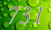 731 — изображение числа семьсот тридцать один (картинка 4)
