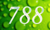 788 — изображение числа семьсот восемьдесят восемь (картинка 4)