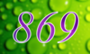 869 — изображение числа восемьсот шестьдесят девять (картинка 4)